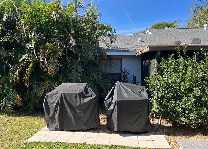 Your Tropical Paradise In Sarasota